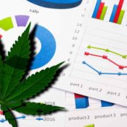 Top Marijuana Stocks To Buy Long Term? 3 Cannabis REITs With Dividends
