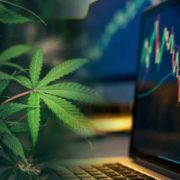 Top Marijuana Stocks To Buy Now? 4 Showing Momentum In Early July