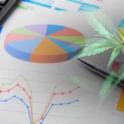 Top Marijuana Stocks To Watch As Trading In July Continues