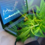Top US Marijuana Stocks To Buy Right Now? 3 For You Q3 2022 Watchlist