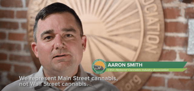 Video: The Voice of Main Street Cannabis