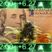Will These 2 Marijuana Stocks Begin To Sustain Better Momentum?