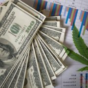 Will These Marijuana Stocks Begin To See A Rise In Trading Any Time Soon?