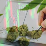 2 Marijuana Stocks That Could Be Big Gainers This Week?