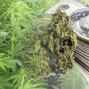 2 Marijuana Stocks To Buy And Hold In The Stock Market Today?