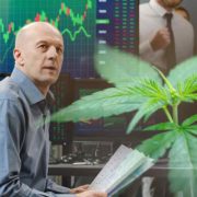 2 Marijuana Stocks To Buy Before September Begins?