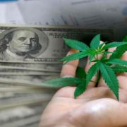 2 Marijuana Stocks To Buy In The Stock Market Today?