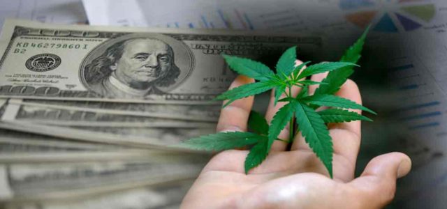 2 Marijuana Stocks To Buy In The Stock Market Today?