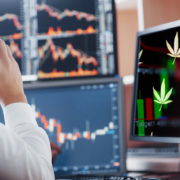2 Marijuana Stocks To Watch During The 3rd Week Of August