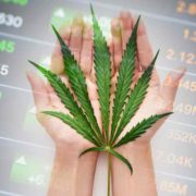 2 Marijuana Stocks To Watch First Week Of August