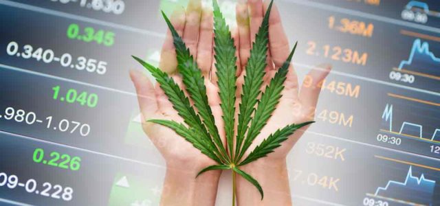 2 Marijuana Stocks To Watch First Week Of August