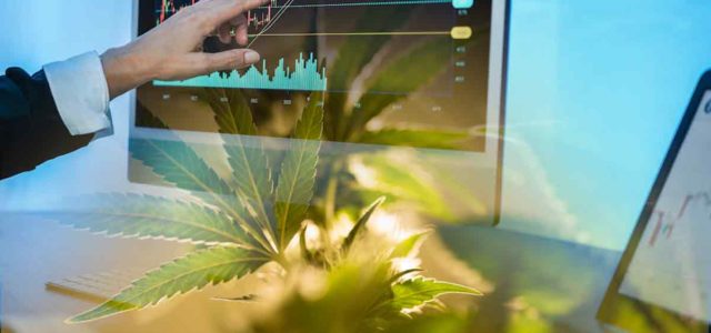 2 Top US Marijuana Penny Stocks To Watch Before September