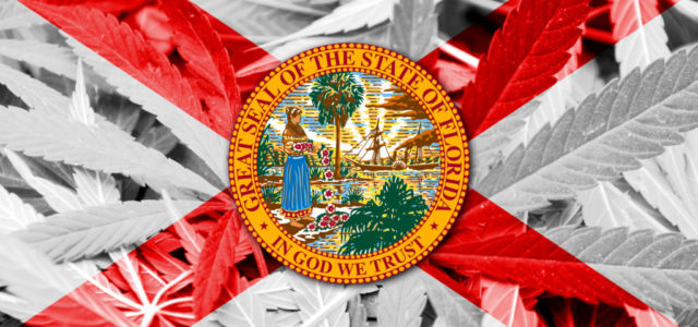 2024: Adult Use Marijuana in Florida