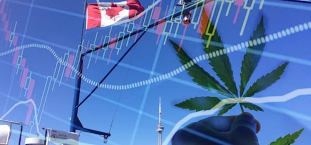 3 Canadian Marijuana Stocks To Buy Mid August?