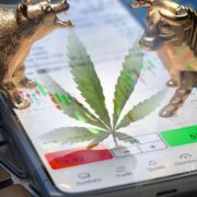 3 Marijuana Stocks That Could Start To Trade Higher