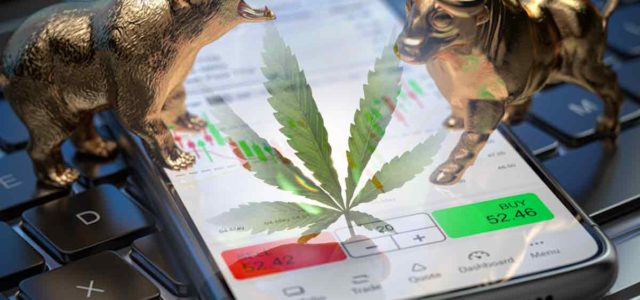 3 Marijuana Stocks That Could Start To Trade Higher