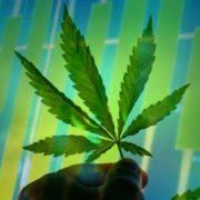 3 Marijuana Stocks To Watch Before Next Week Begins