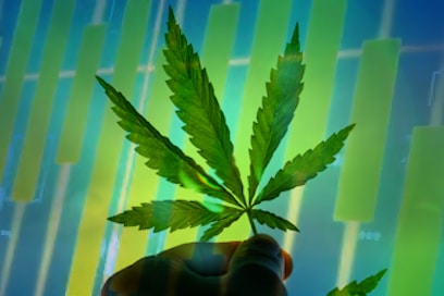 3 Marijuana Stocks To Watch Before Next Week Begins