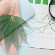 Are These Marijuana Stocks A Buy Mid-August?