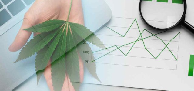 Are These Marijuana Stocks A Buy Mid-August?