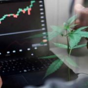 Are Top Marijuana Stocks A Buy In August? 2 Ancillary Pot Stocks To Watch Now