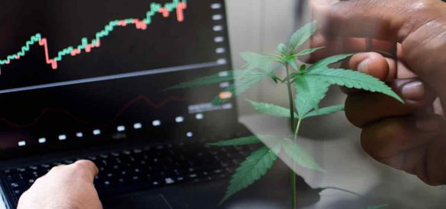 Are Top Marijuana Stocks A Buy In August? 2 Ancillary Pot Stocks To Watch Now