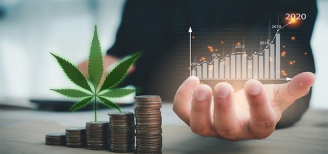 Are You Ready To Buy These Marijuana Stocks?