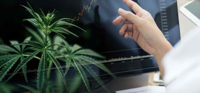 Best Cannabis Stocks To Watch For Q4 2022