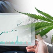 Best Marijuana Stocks To Watch 2nd Week Of August