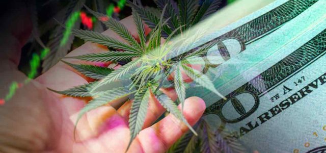Canadian Cannabis Stocks To Watch In September