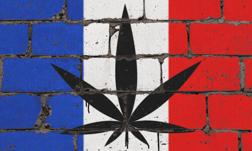 French Senators Petition Macron’s Government For Urgent Cannabis Reform