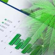 Looking For Long Term Cannabis Stocks? 2 For Your List In August