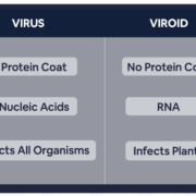 Member Blog: What Growers Should Know About Hop Latent Viroid