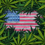 States to Feds: End Cannabis Prohibition Now