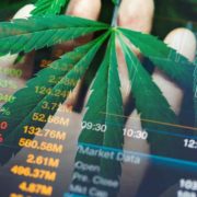 Top Ancillary Cannabis Stocks To Buy? 2 With Double Digit Gains Last Week