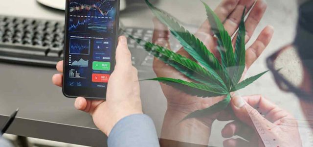 Top Marijuana Penny Stocks On The Nasdaq To Watch Right Now