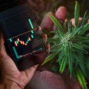 Top Marijuana Penny Stocks To Watch For Q3 2022