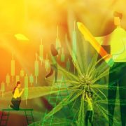 Top Marijuana Stocks For Your Mid-Day Trading