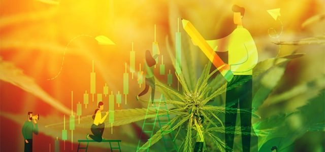 Top Marijuana Stocks For Your Mid-Day Trading