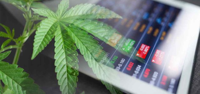Top Marijuana Stocks On The Move This Week