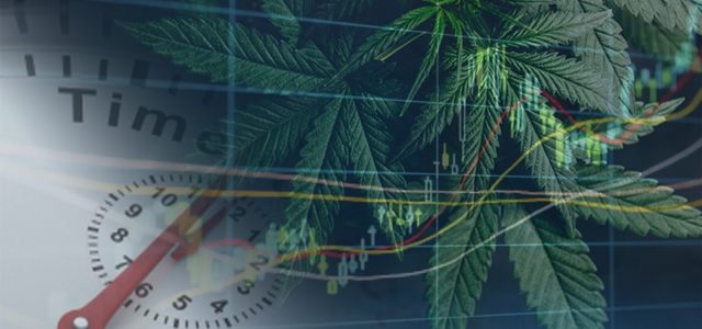 Top Marijuana Stocks To Know About Before The New Week Begins