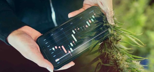 Top Marijuana Stocks To Watch Before September 2022