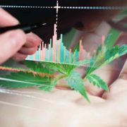 Top Marijuana Stocks To Watch Before The End Of the Week