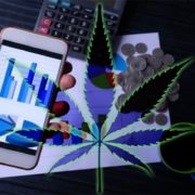 Top Marijuana Stocks To Watch For Better Momentum At The End Of August