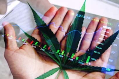 Top Marijuana Stocks To Watch In The Stocks Market 2022