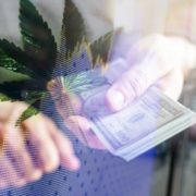 2 Marijuana Stocks To Buy Before October?