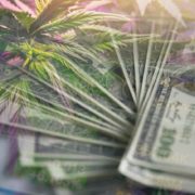 2 Marijuana Stocks To Start A New Week Of Trading