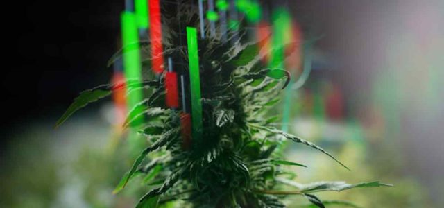 Best Cannabis Penny Stocks To Watch Before October