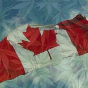 Canadian Marijuana Stocks To Buy Before Friday?