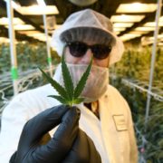 LivWell to be Colorado cannabis giant after powerhouse PharmaCann plans to buy boutique chain